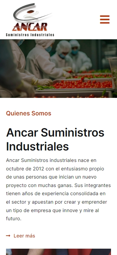 Imagen Móvil 1